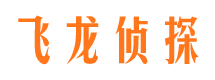 磐石寻人公司